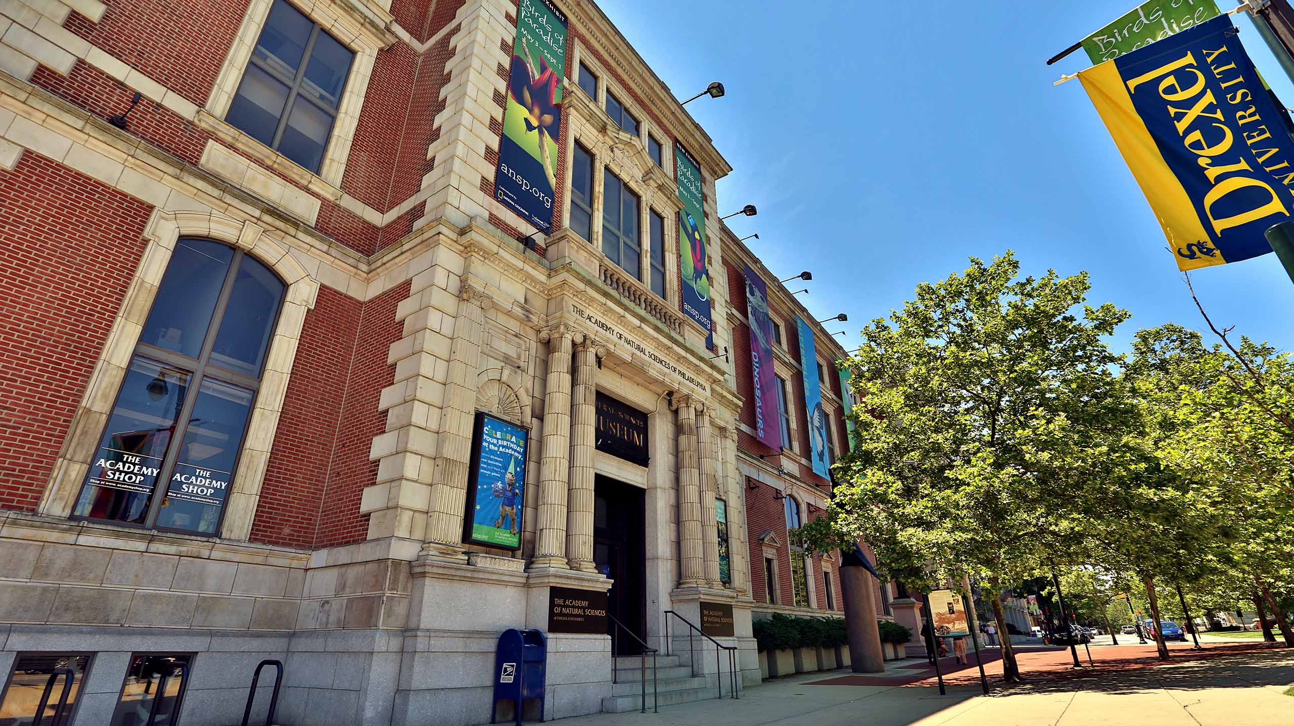 drexelans_1